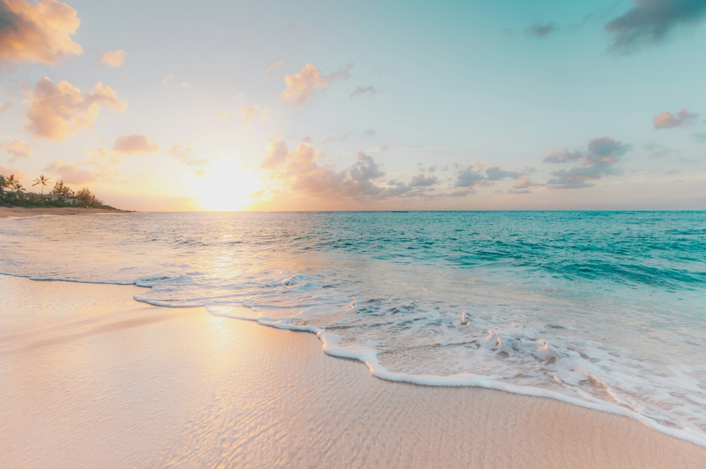 A tropical beach