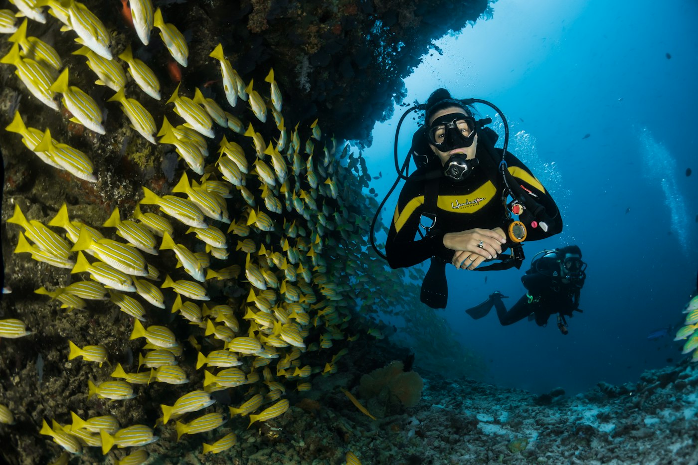A scuba diver underwater